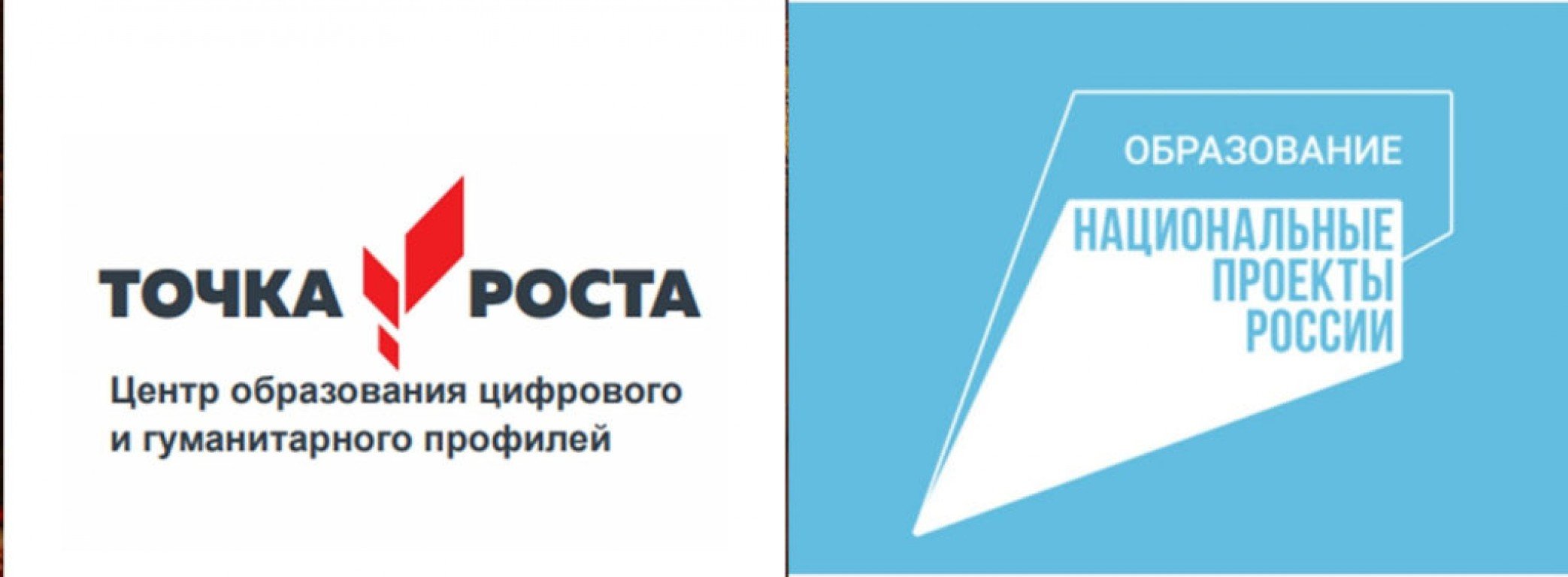 Национальное образование примеры. Логотип национального проекта образование точка роста. Логотип Нацпроекты России точка роста. Фирменный знак точка роста 2021.